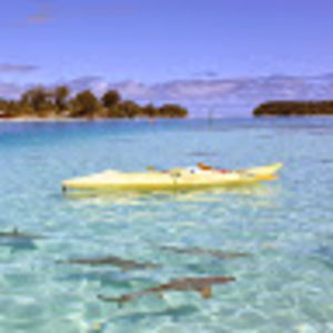 Meet your Posher, Avery